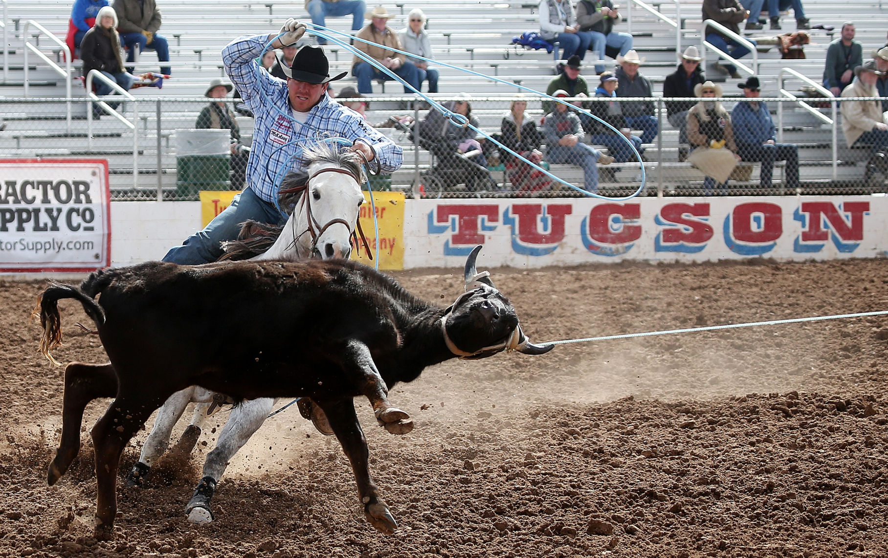 2018 Tucson Rodeo